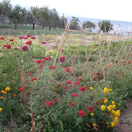 Agriturismo Papageno * Rignano sullʼArno
